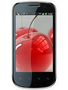 Best available price of Celkon A19 in France