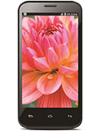 Best available price of Lava Iris 505 in France