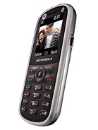 Best available price of Motorola WX288 in France