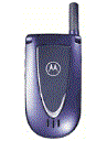 Best available price of Motorola V66i in France